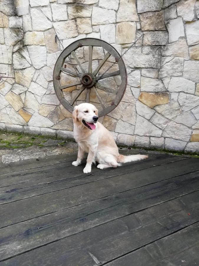 Villa Andy 프라하 외부 사진